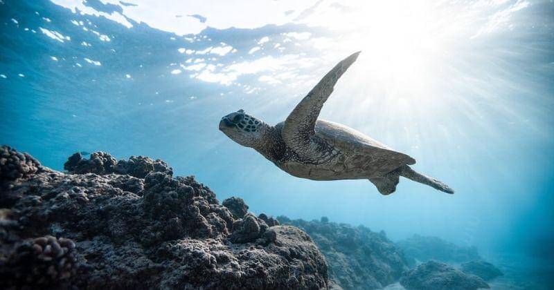 Pexels/Jeremy Bishop